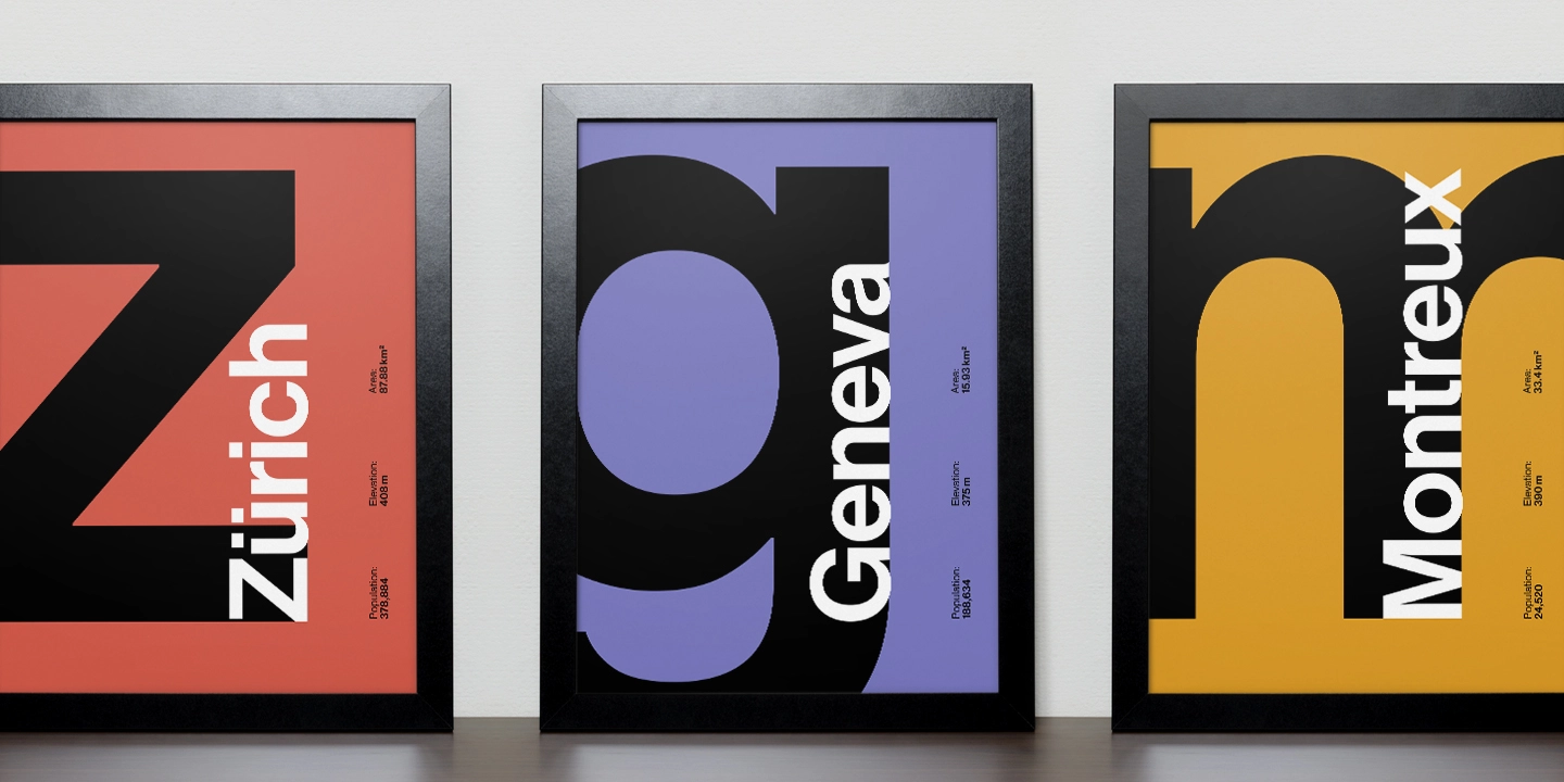 Neue Haas Grotesk  Bold Font preview