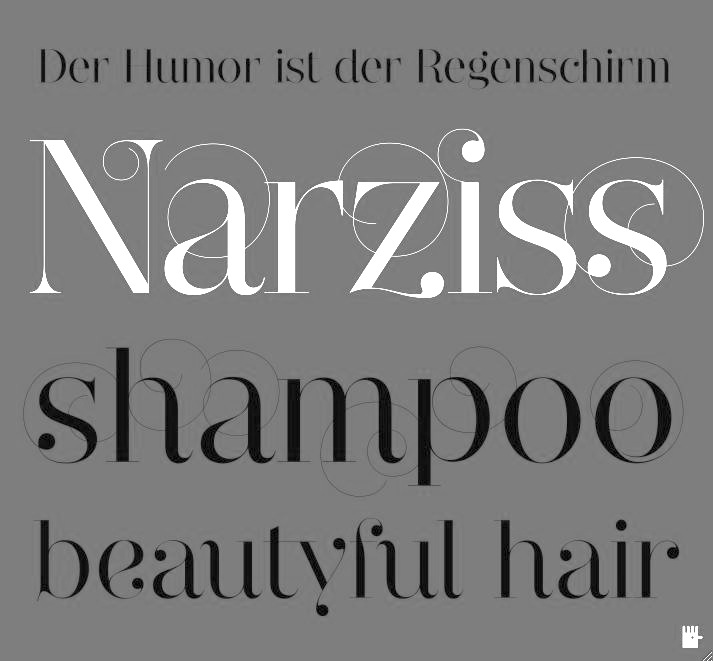 Narziss Pro Font preview