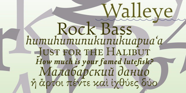 Walleye Bold Italic Font preview