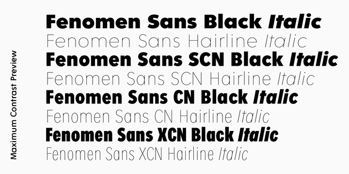 Fenomen Sans XCN Hairline Italic Font preview
