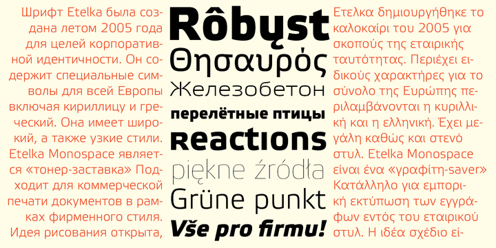Etelka  Wide Medium Pro Italic Font preview