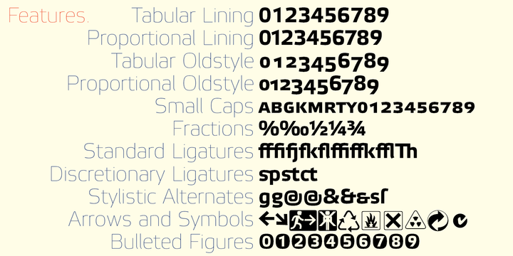 Etelka  Wide Text Pro Bold Font preview