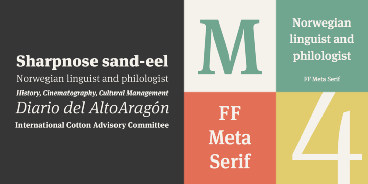 Meta Serif Pro Font preview