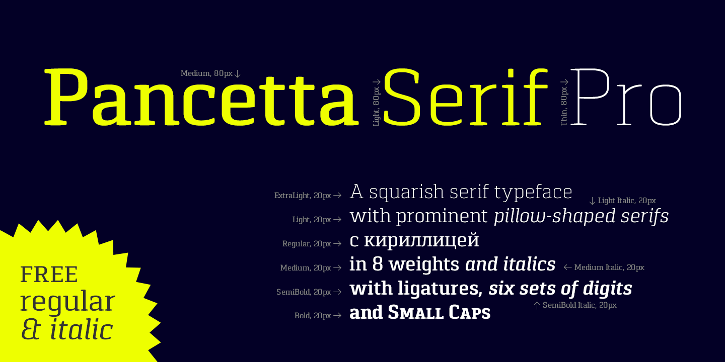 Pancetta Serif Pro Italic Font preview
