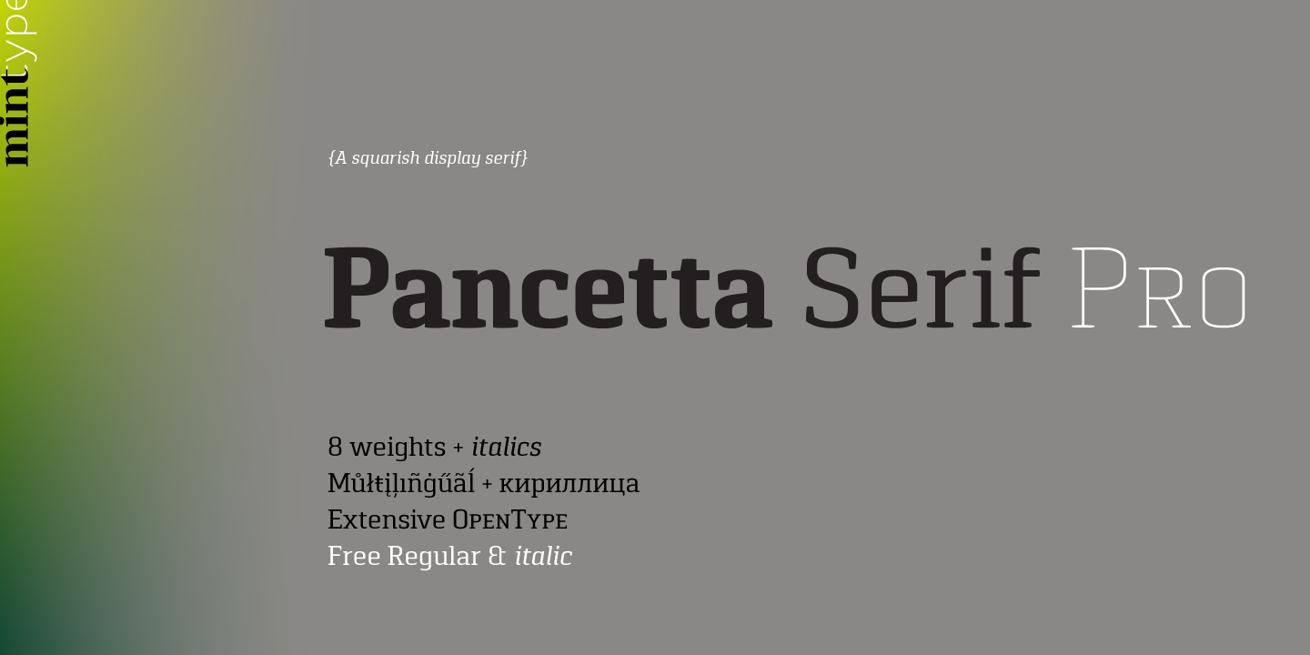Pancetta Serif Pro Font preview