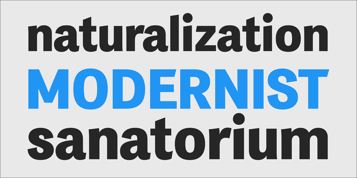 PF Das Grotesk Pro Medium Italic Font preview