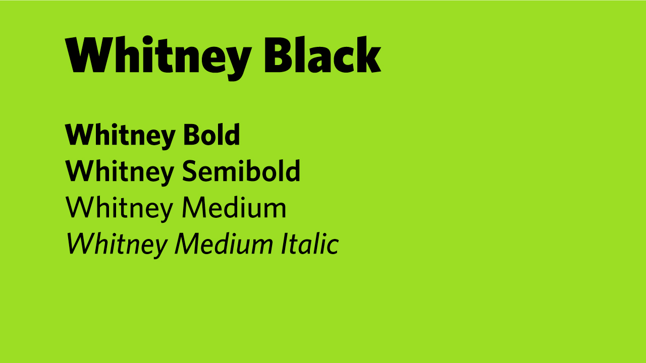 Whitney Light Italic Font preview