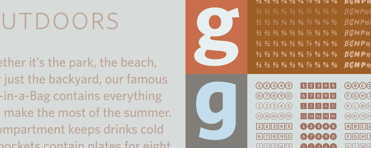 Whitney Font preview