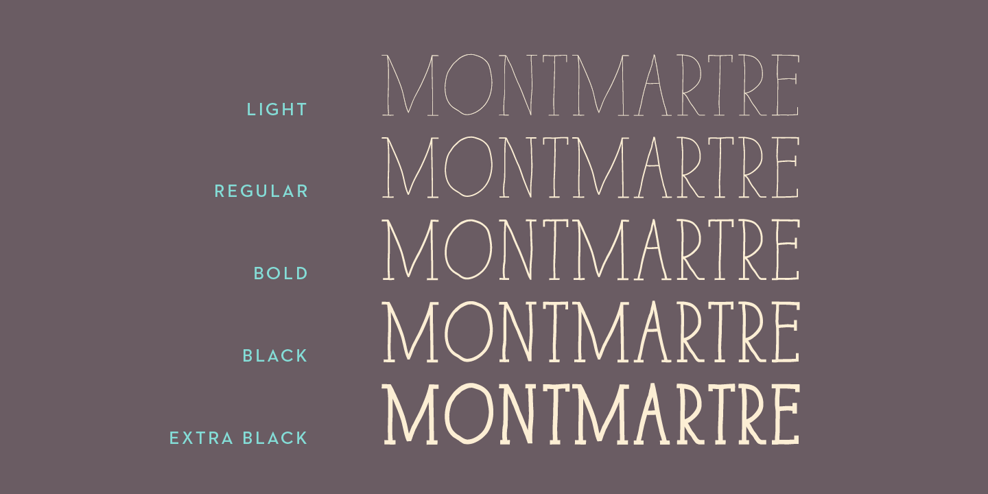 Paris Serif Black Font preview