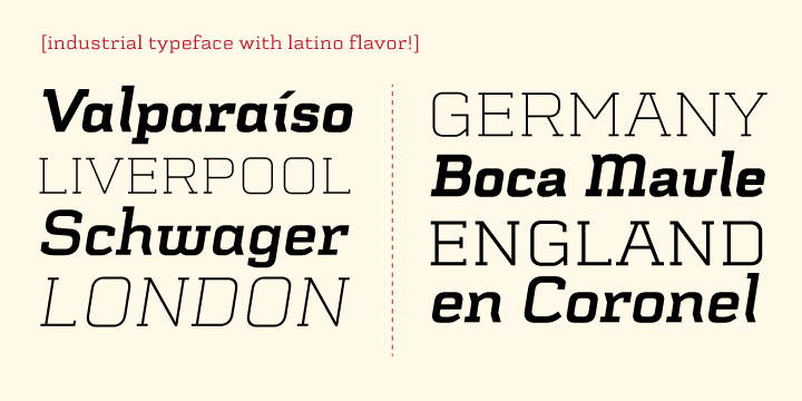 Schwager Italic Font preview