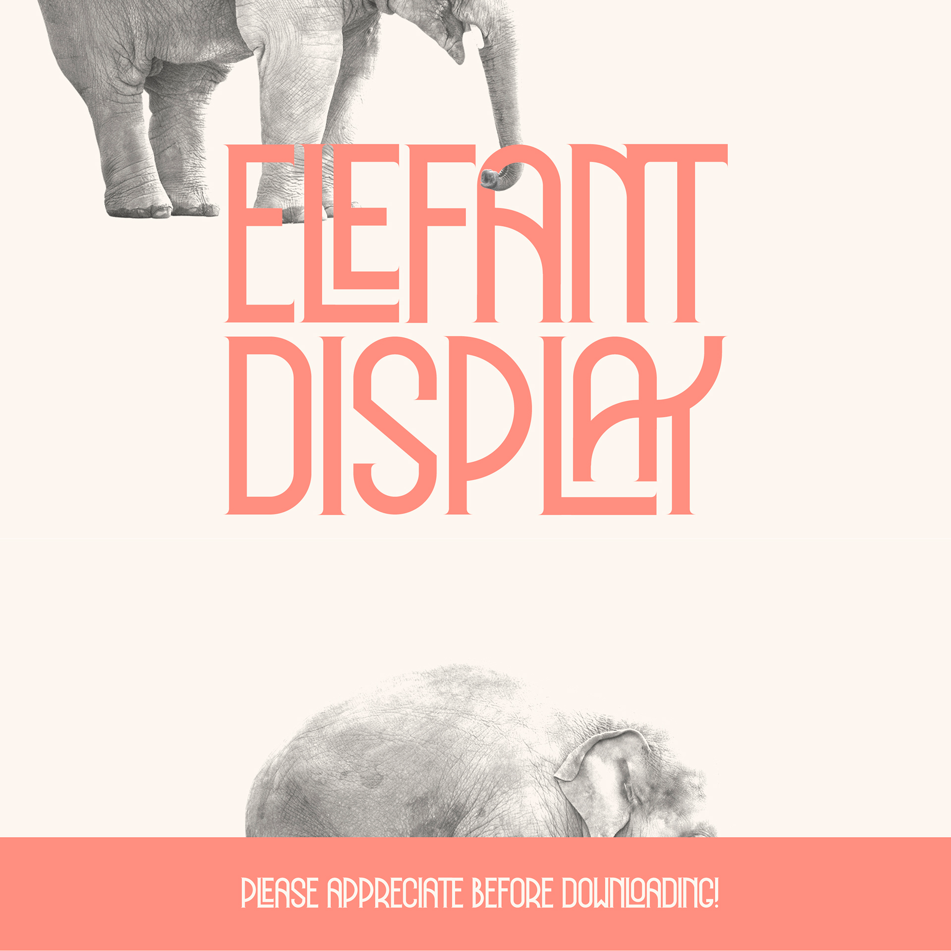 Elefant Display Font preview