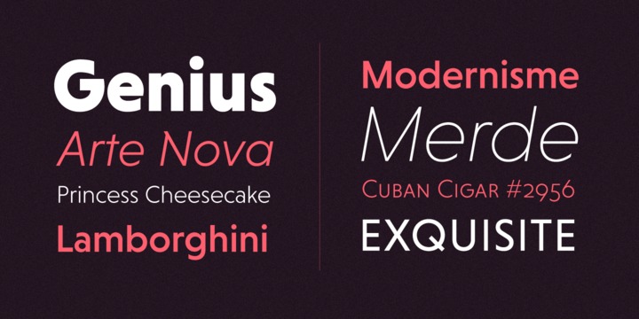 Niveau Grotesk Extra Light Italic Font preview