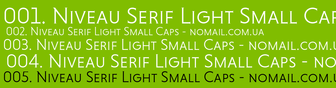 Niveau Serif Font preview