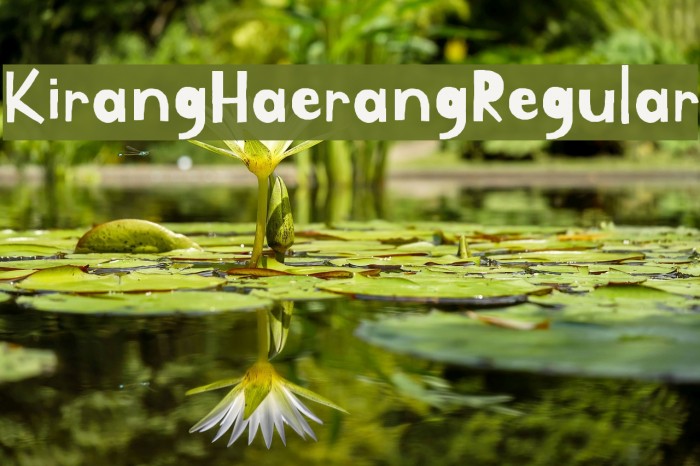 Kirang Haerang Font preview
