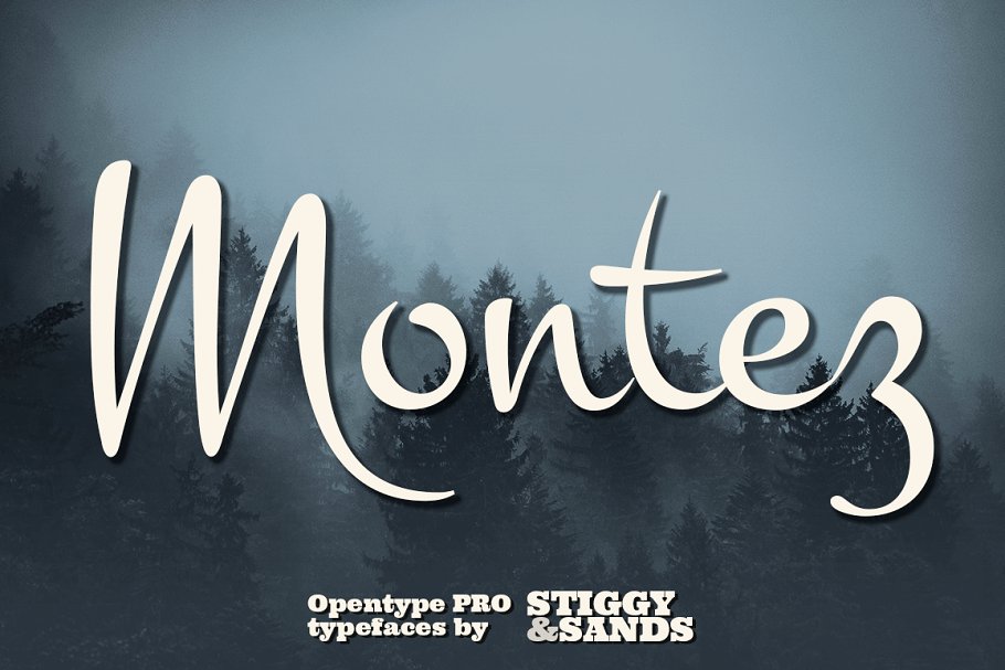 Montez Regular Font preview