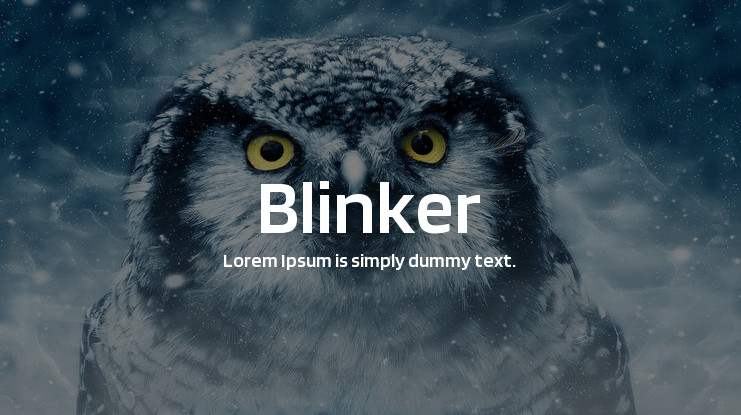 Blinker Font preview