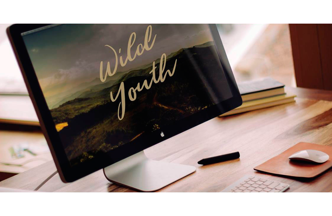 Wild Youth Regular Font preview