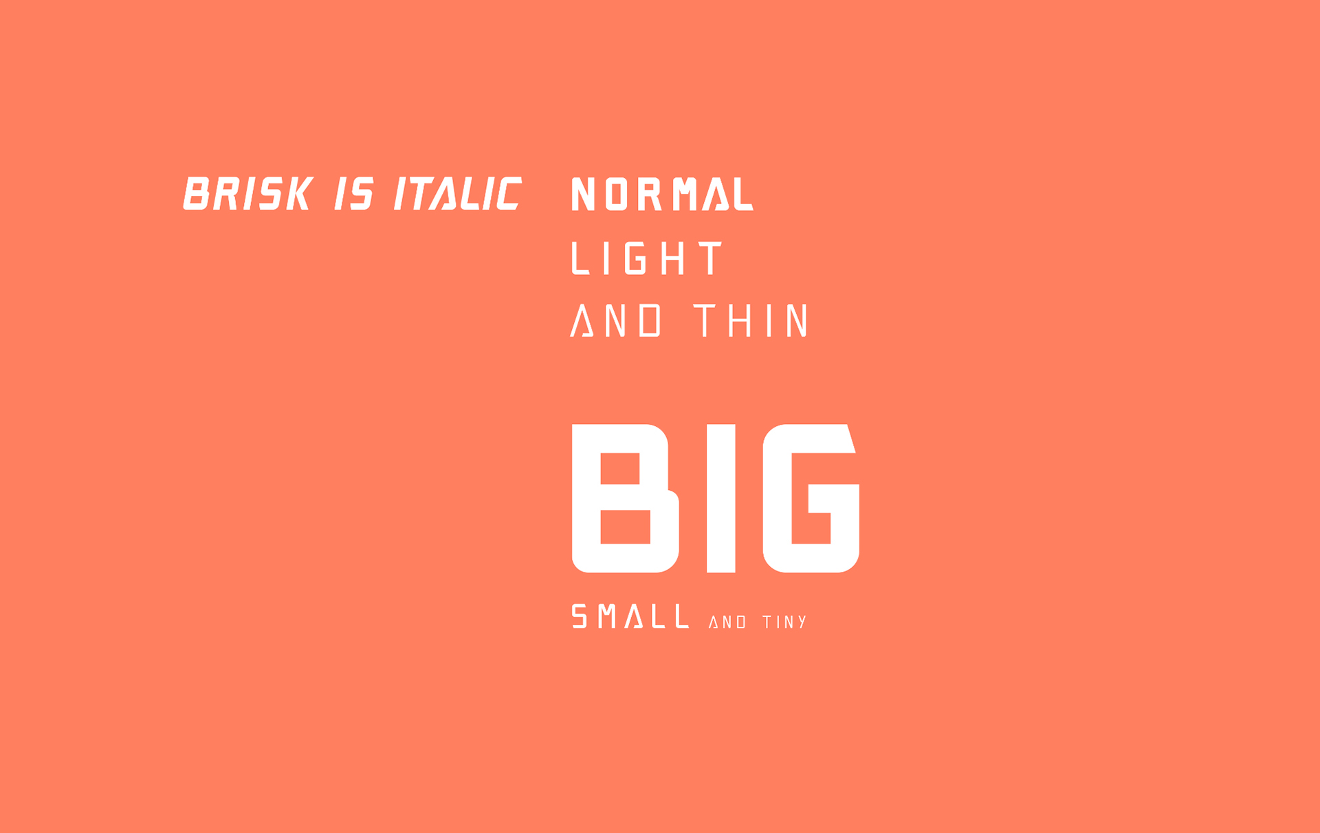 Brisk Pro Thin Font preview