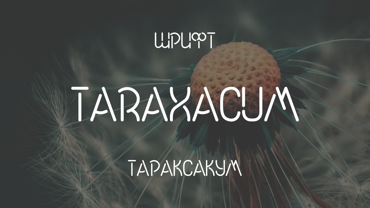 Taraxacum Font preview