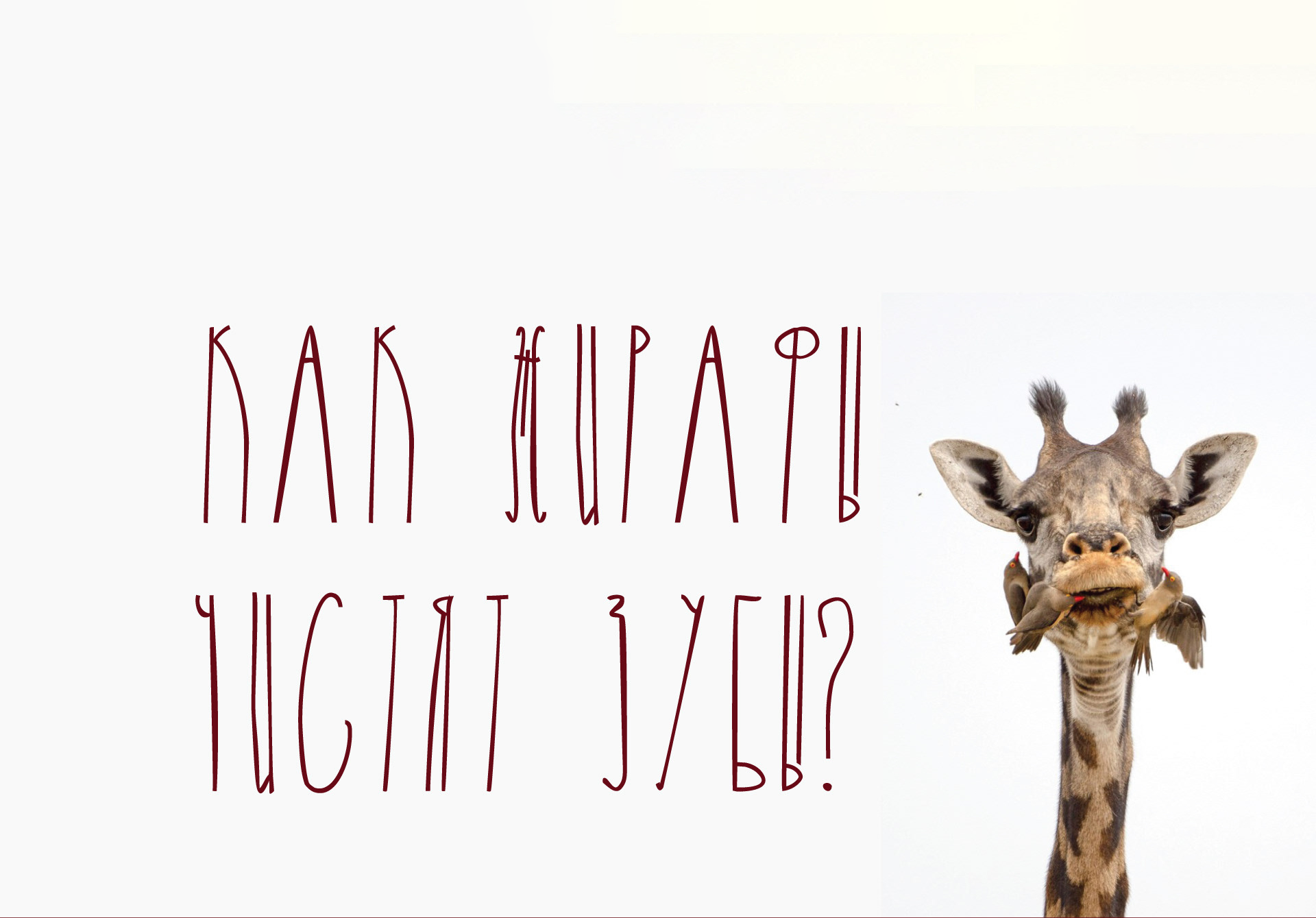 Giraffe Regular Font preview