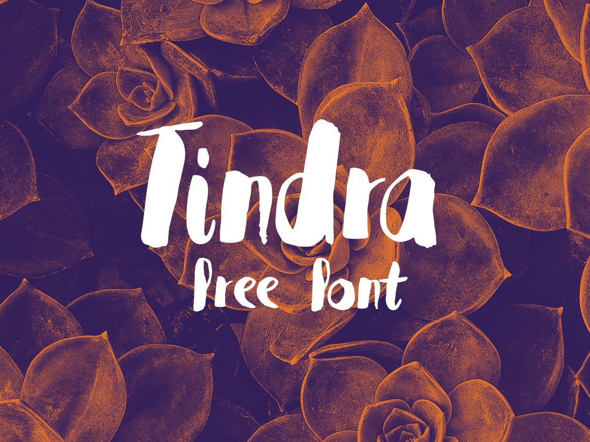 Tindra Font preview
