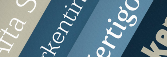 Afta Serif Italic Font preview