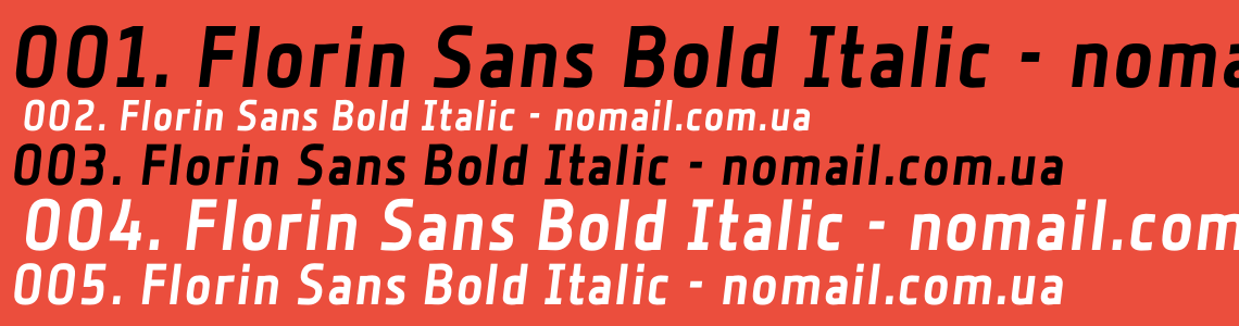 Florin Sans  Bold Italic Font preview