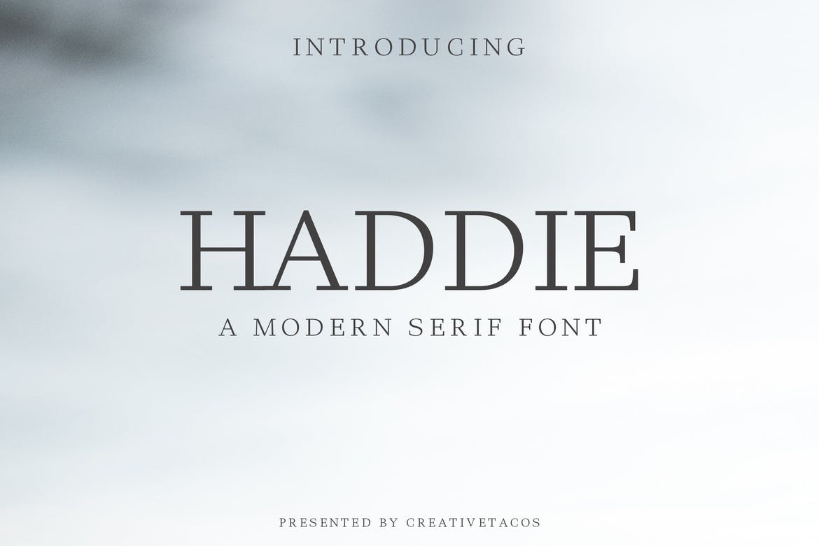 Modern Serif Italic Font preview