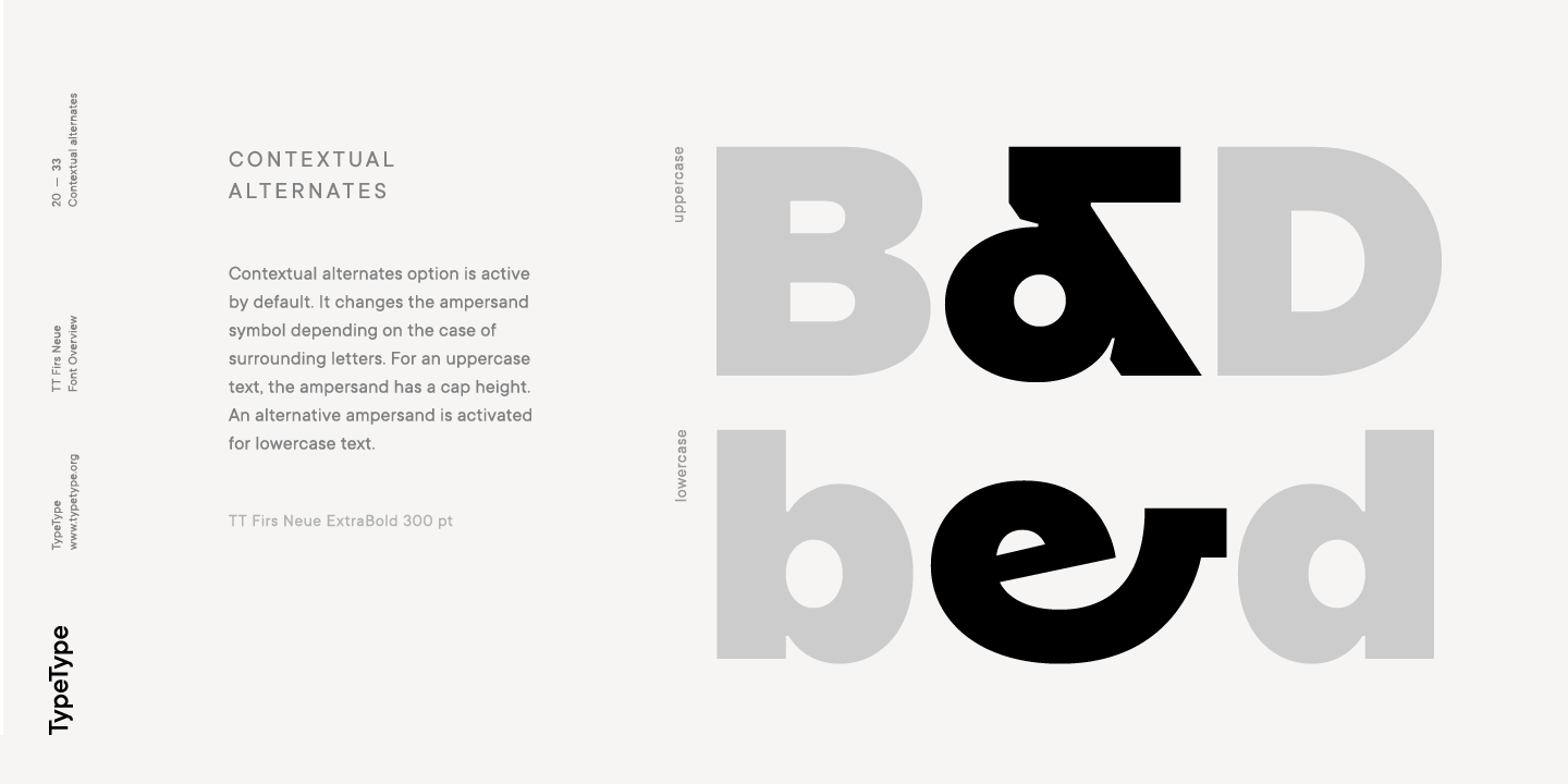 TT Firs Neue Extra Bold Italic Font preview