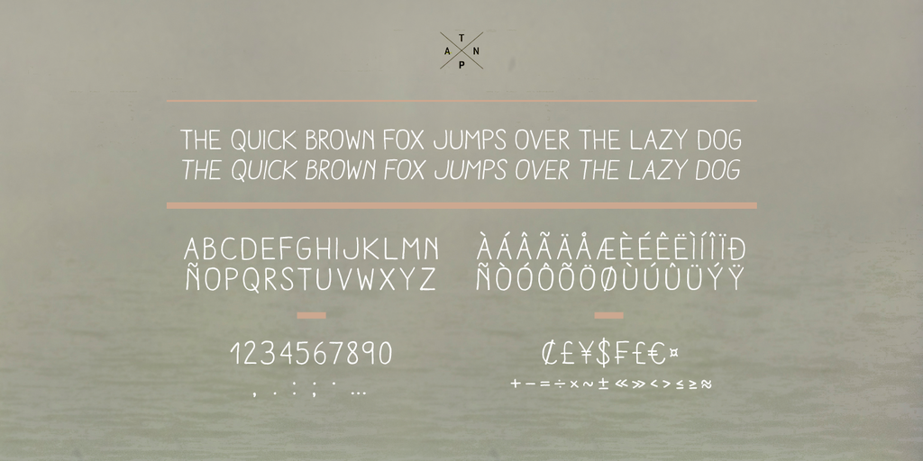 Aracne Light Italic Font preview