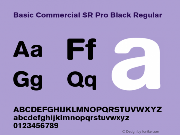 Basic Commercial Soft Rounded Pro Black Font preview