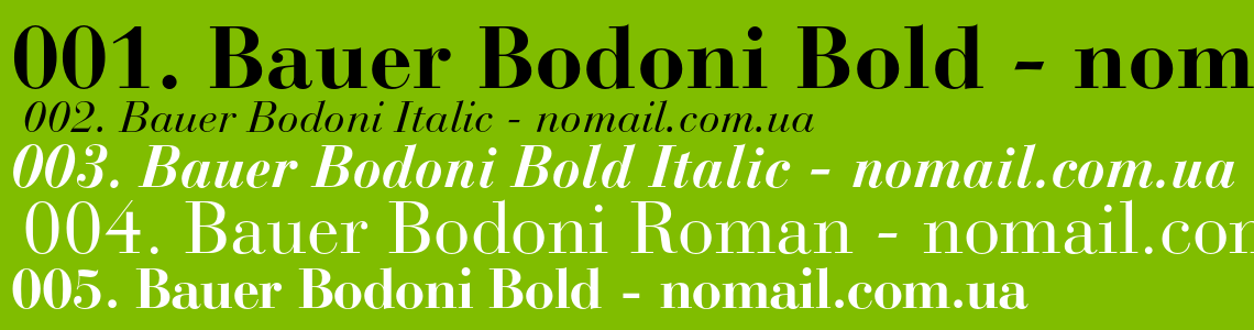 Bauer Bodoni Std Roman Italic Font preview