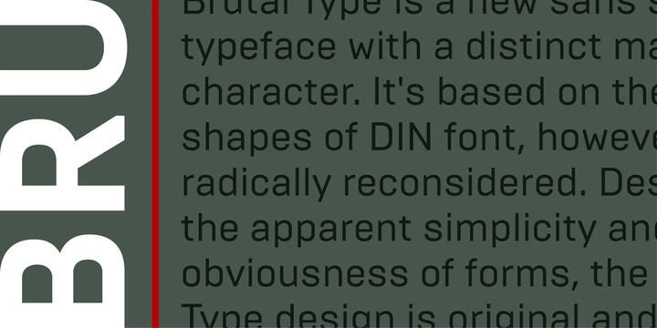 Brutal Type Thin Font preview