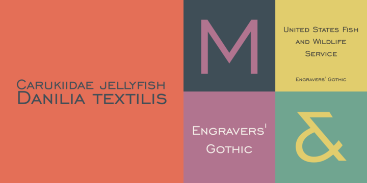 Engravers Gothic Font preview