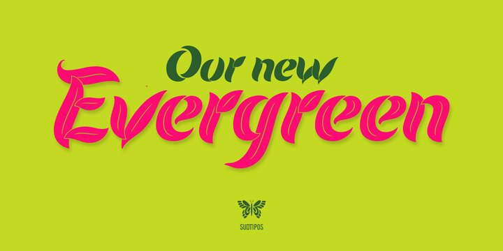 Evergreen Font preview