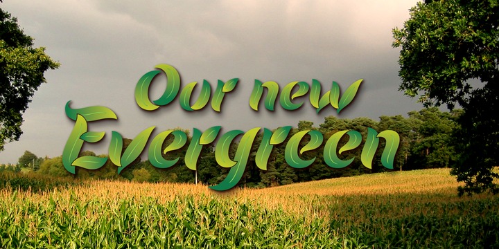 Evergreen Dawn Font preview