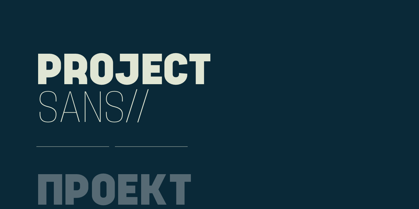 Project Sans Regular Font preview
