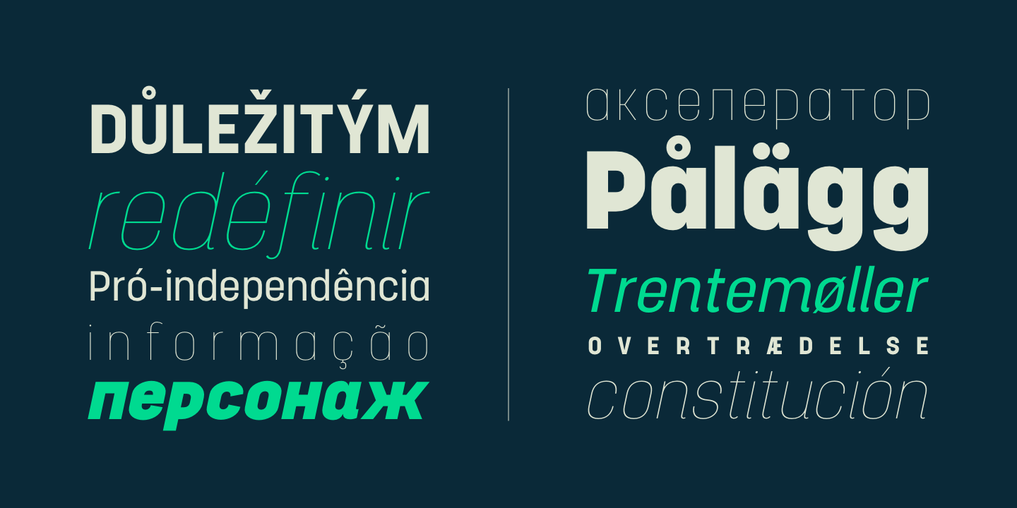 Project Sans Ultra Light Italic Font preview