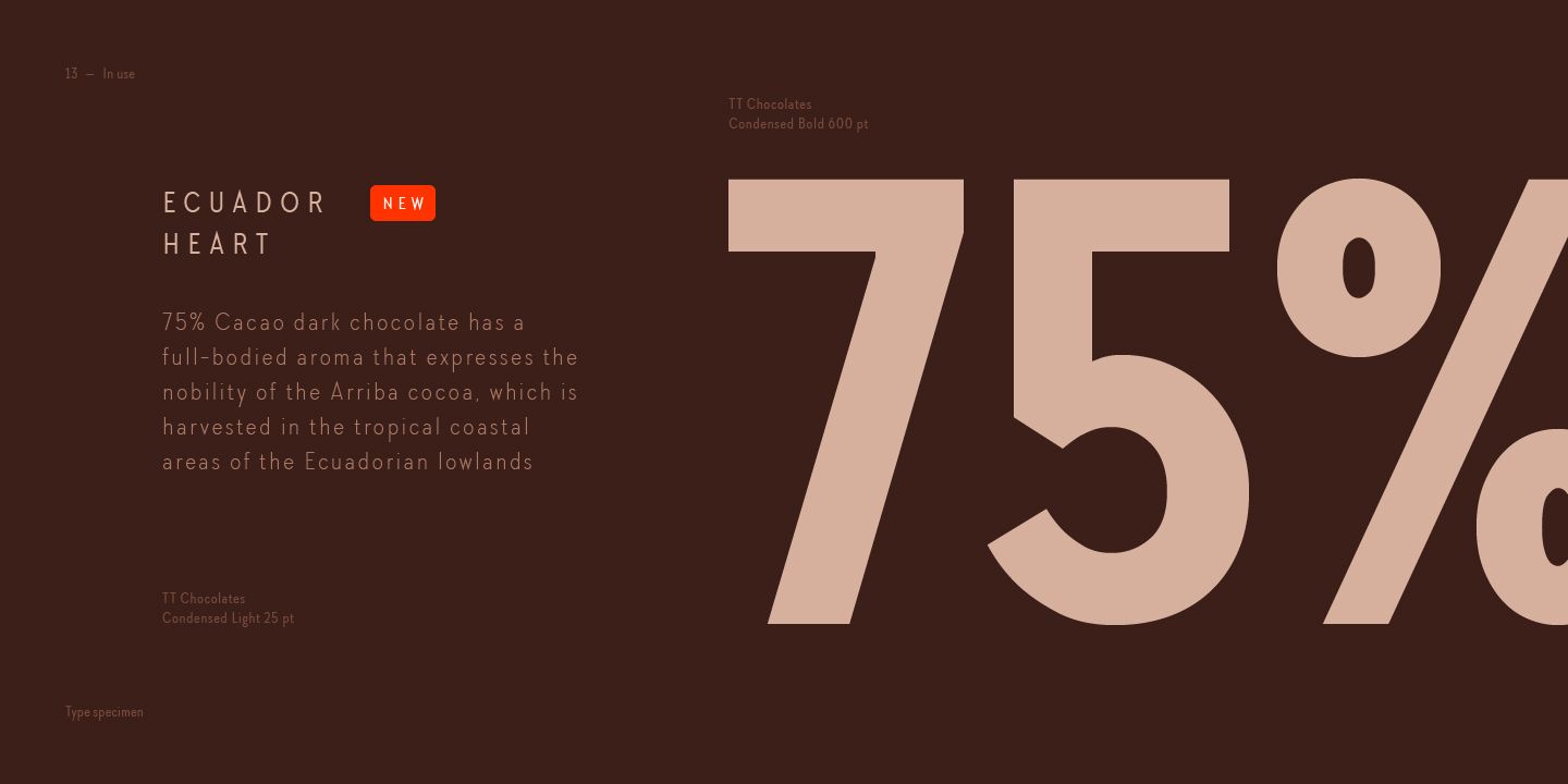 TT Chocolates Condensed Thin Italic Font preview
