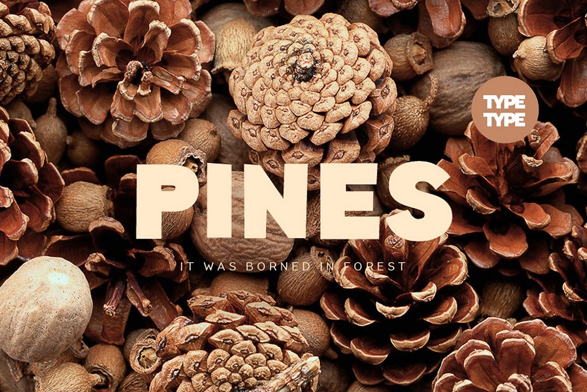 TT Pines Font preview