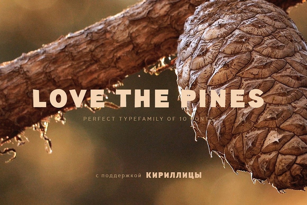 TT Pines Thin Font preview