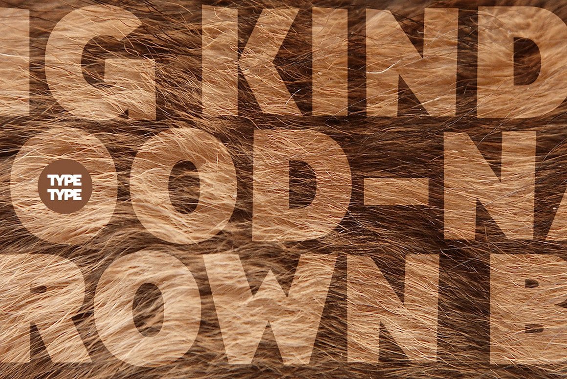 TT Pines Thin Italic Font preview