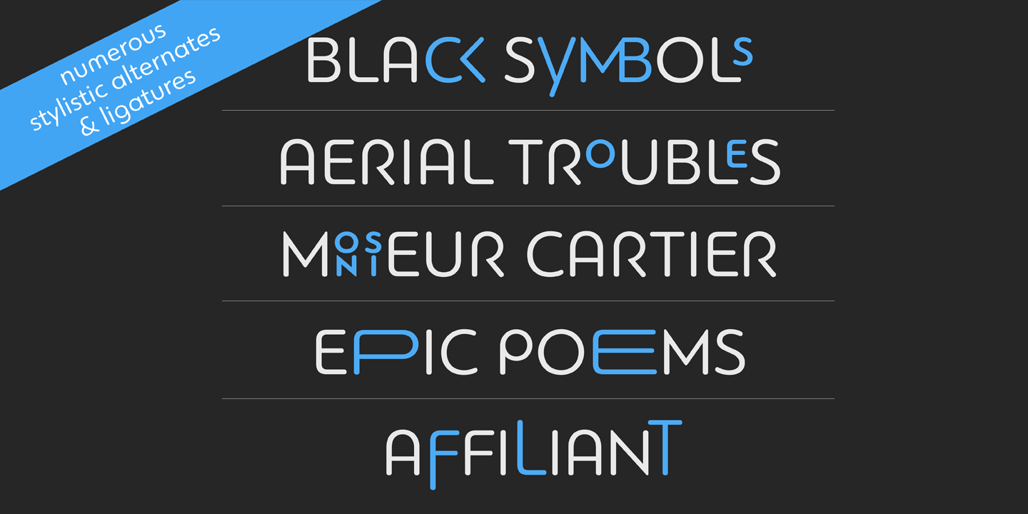 PF Bague Round Pro Ultra Black Italic Font preview