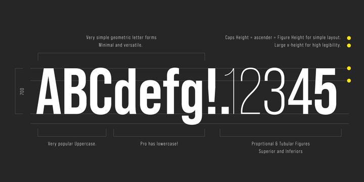 Bebas Neue Pro SemiExpanded Light Font preview