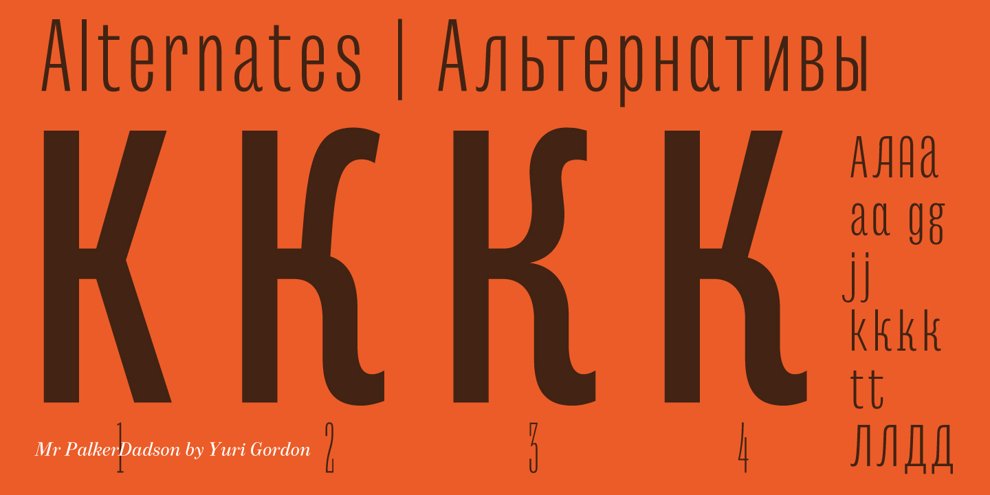 Mr Palker Dadson Condensed Thin Font preview