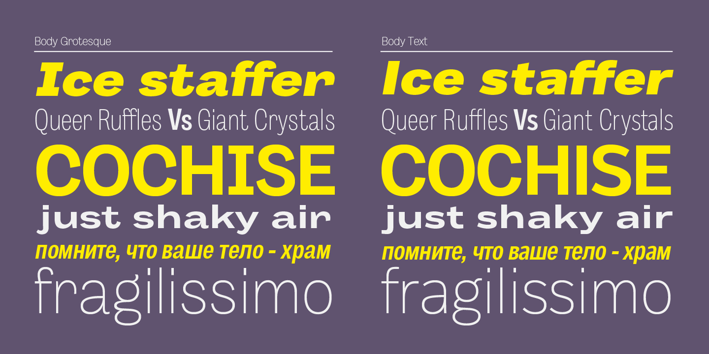 Body Text Italic Font preview