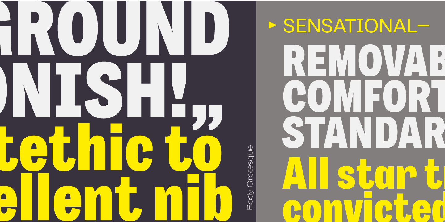 Body Grotesque Large Regular Font preview