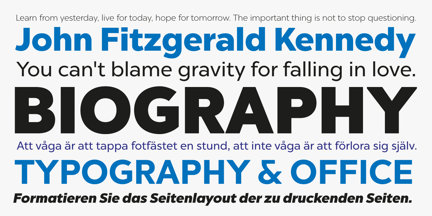 Chronica Pro  Italic Font preview