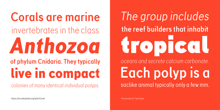 TT Corals Black Italic Font preview