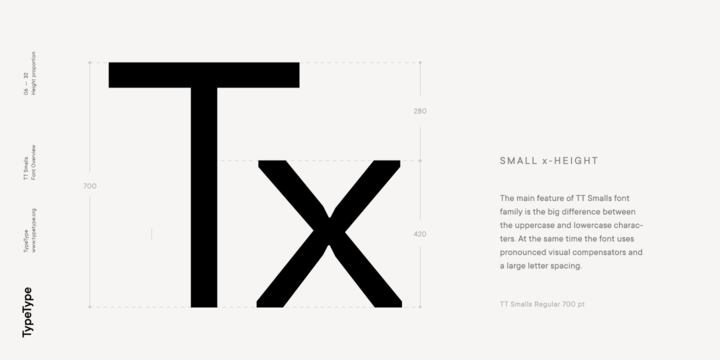 TT Smalls Bold Italic Font preview